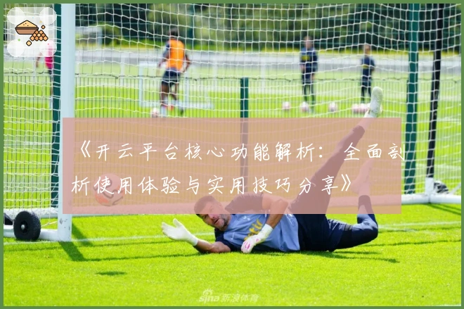 《开云平台核心功能解析:全面剖析使用体验与实用技巧分享》