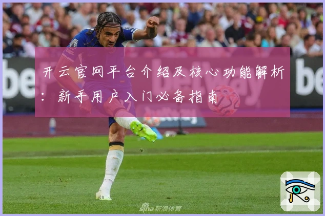 开云官网平台介绍及核心功能解析：新手用户入门必备指南